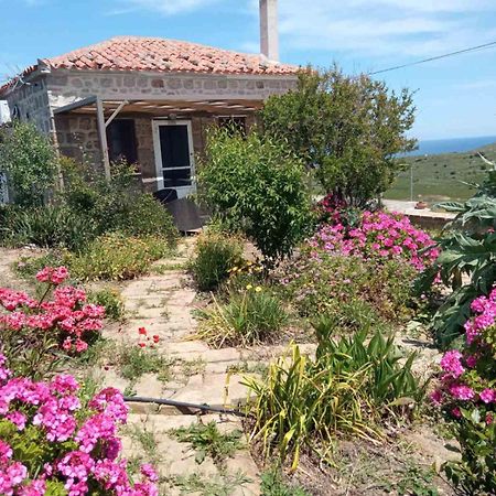 Cozy House With Amazing Sea View Leilighet Kaminia  Eksteriør bilde