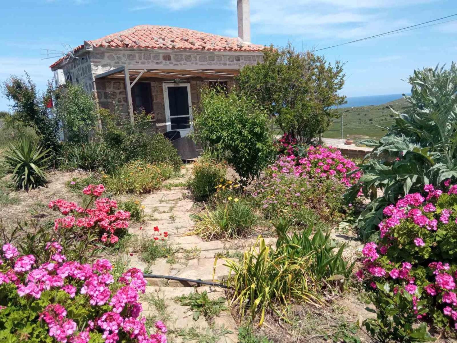 Cozy House With Amazing Sea View Leilighet Kaminia  Eksteriør bilde