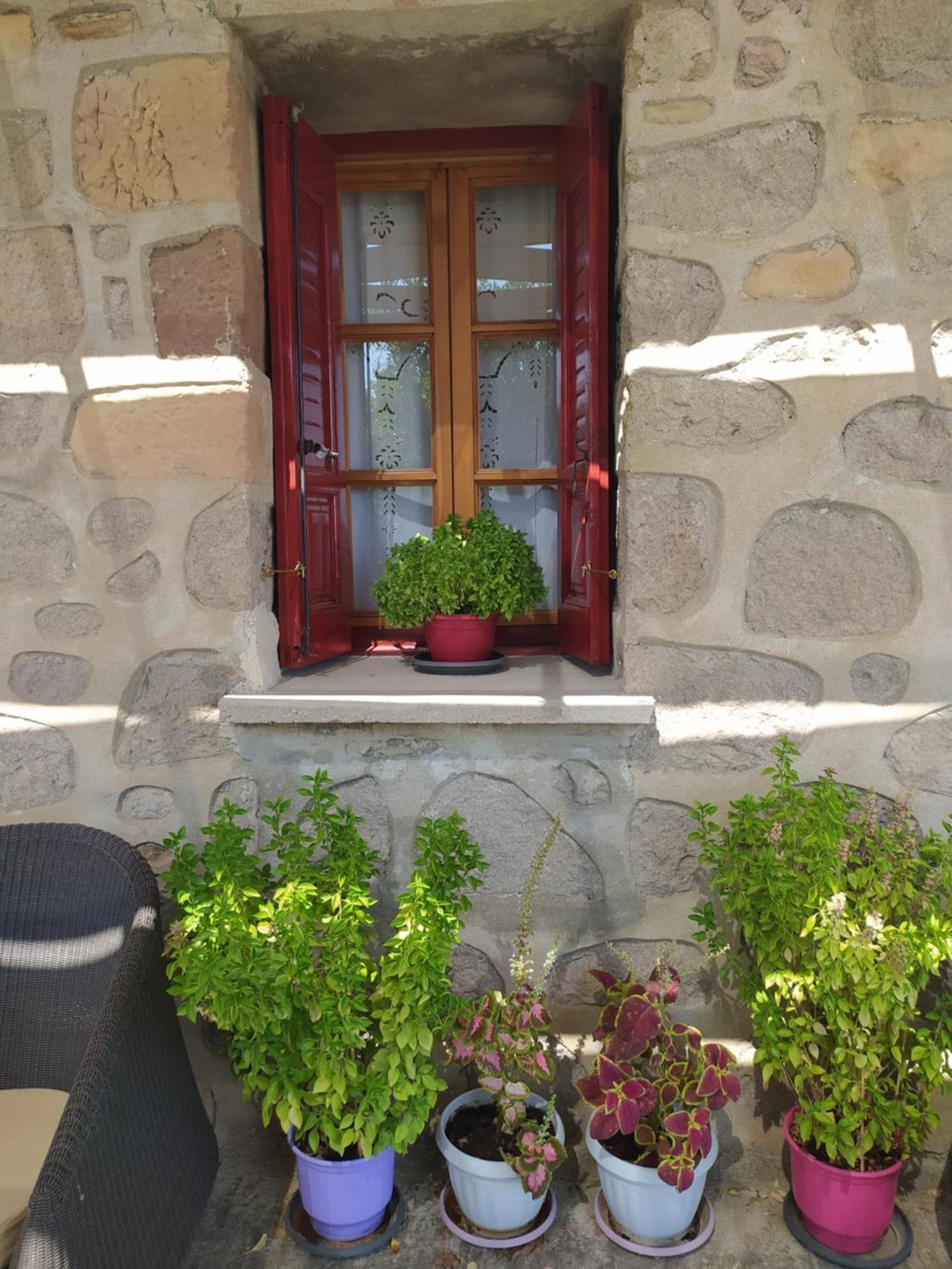 Cozy House With Amazing Sea View Leilighet Kaminia  Eksteriør bilde